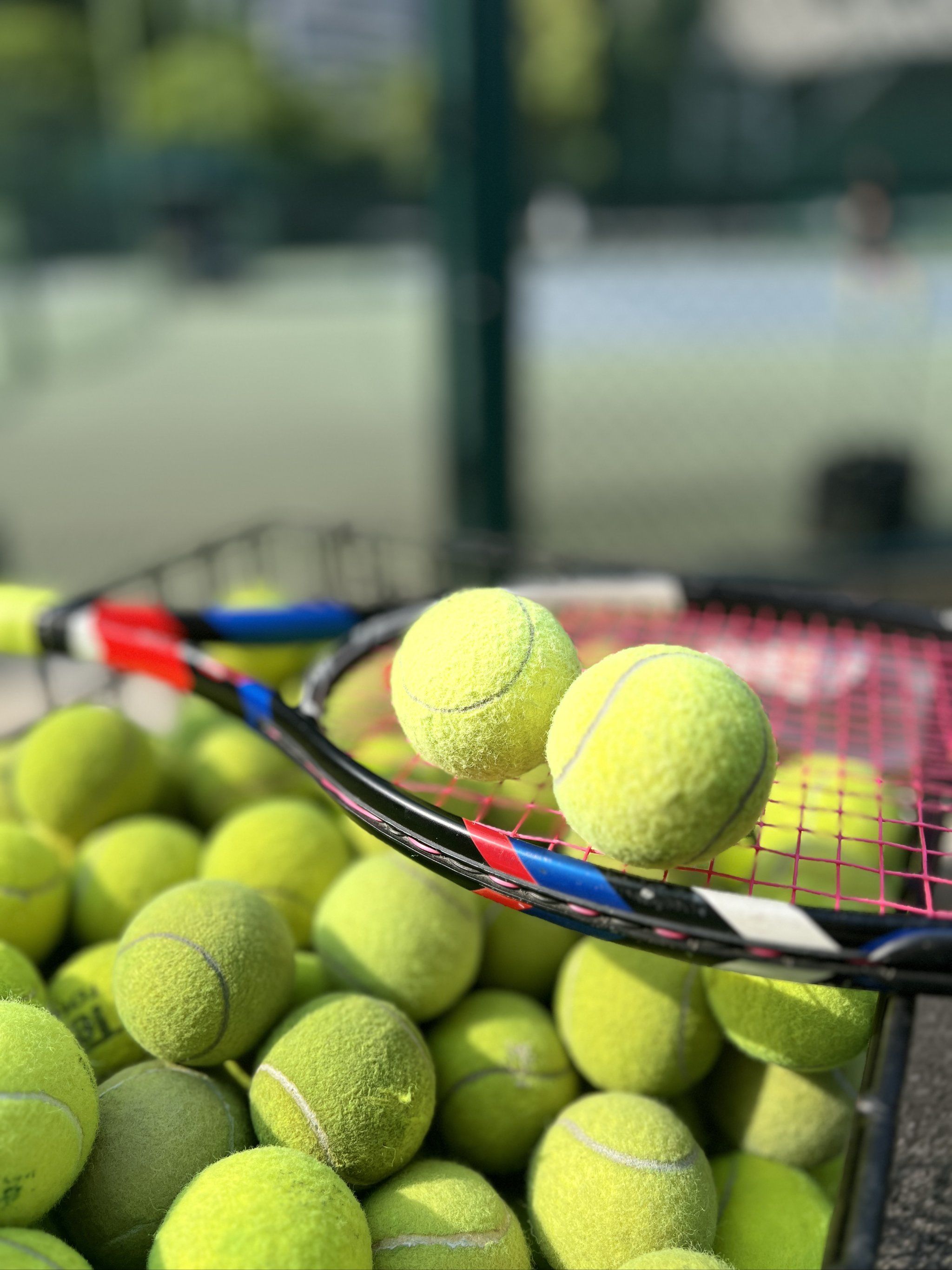 世界杯德国 世界杯德国