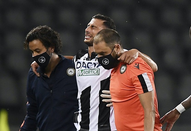 老鹰一跃成 老鹰一跃成